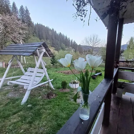 тихий куточок Holiday home Verkhovyna
