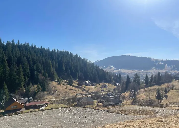 度假居 тихий куточок 韦尔霍维纳